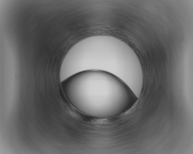 X0000111940132200907271022