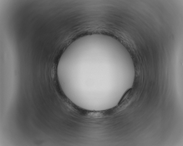 X0000111940133200907271022