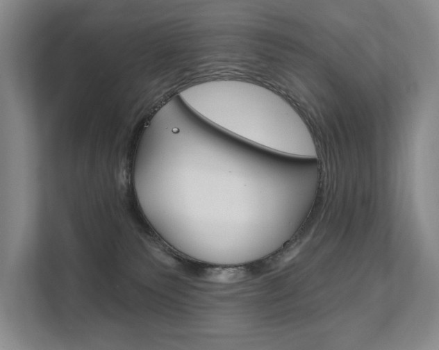 X0000111940135200907271022