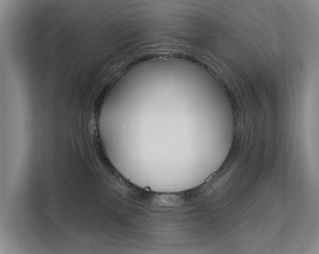 X0000111940137200907271022
