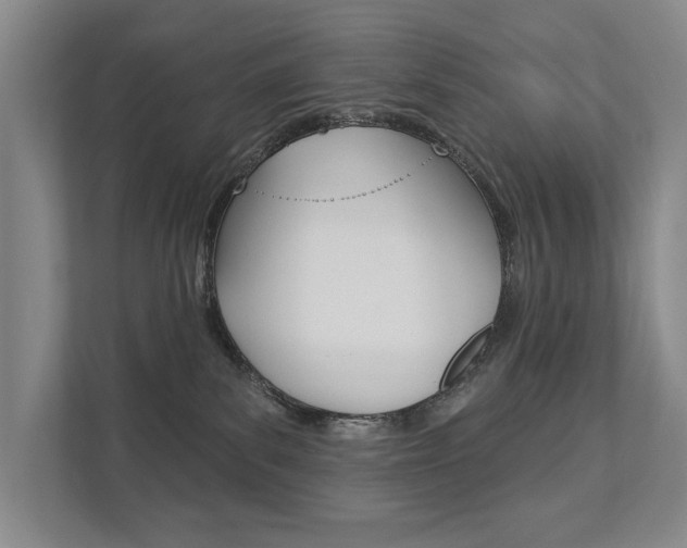 X0000111940139200907271022
