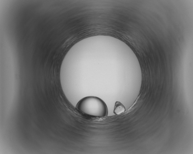 X0000111940140200907271022