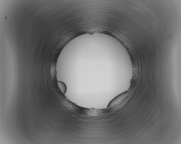 X0000111940142200907271022