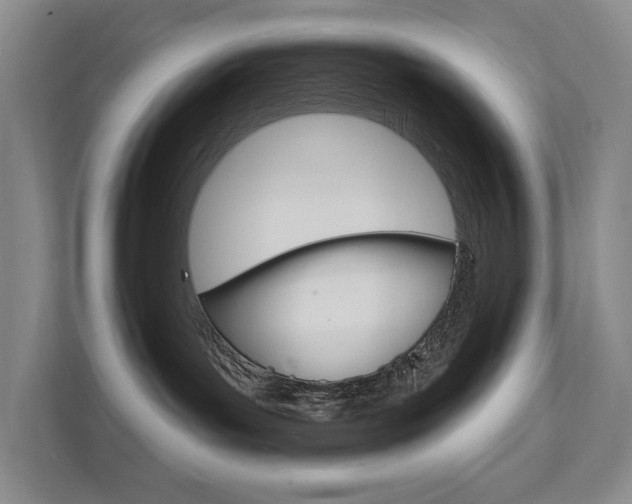 X0000111940143200907271022