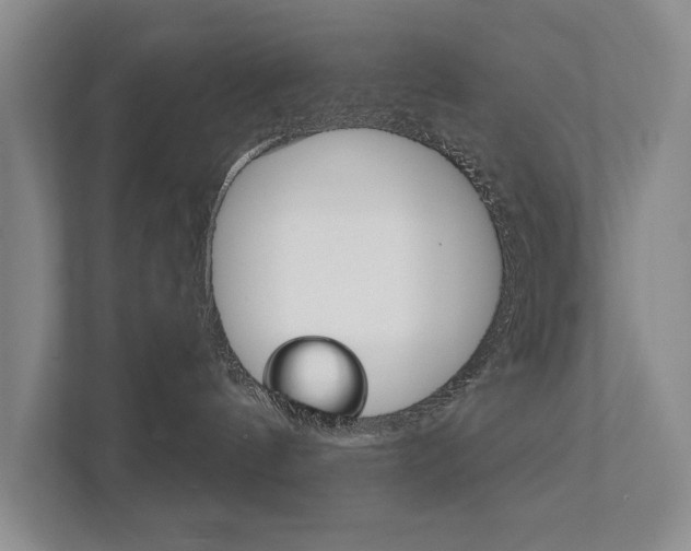 X0000111940144200907271022