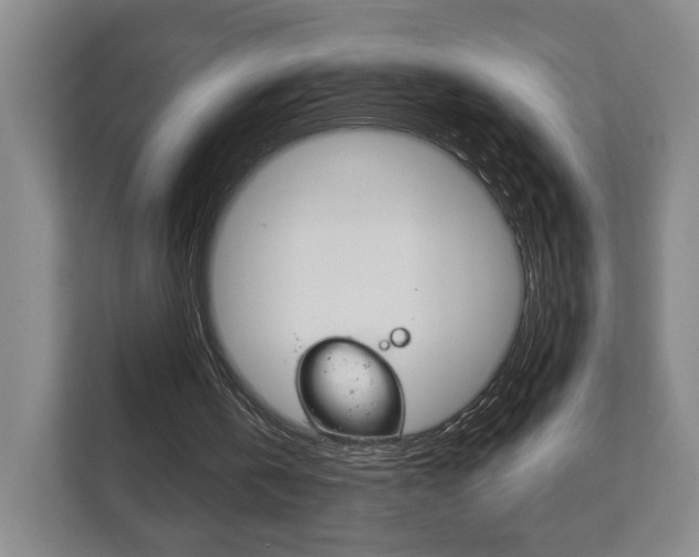 X0000111940146200907271021