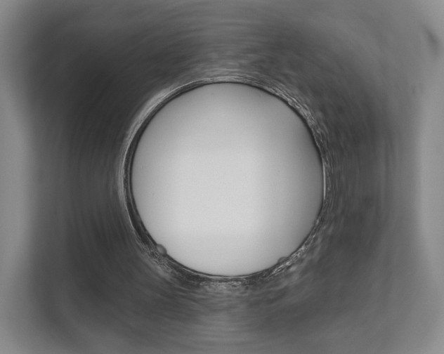 X0000111940147200907271021