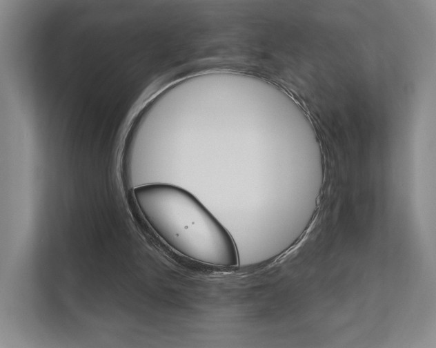 X0000111940150200907271021