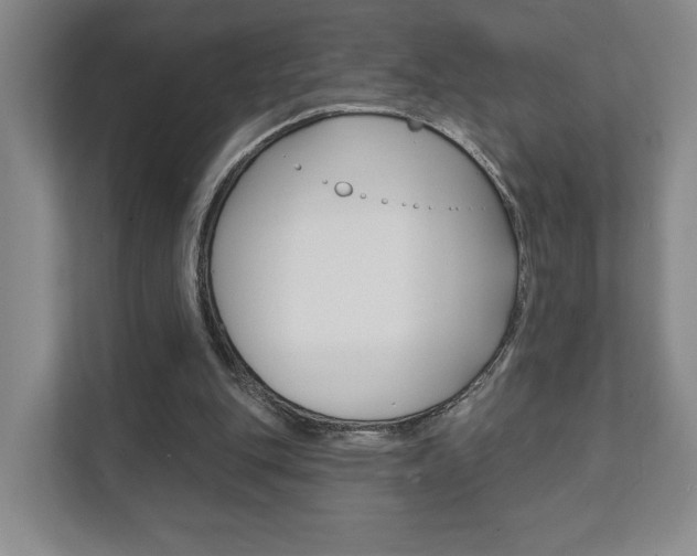X0000111940151200907271021
