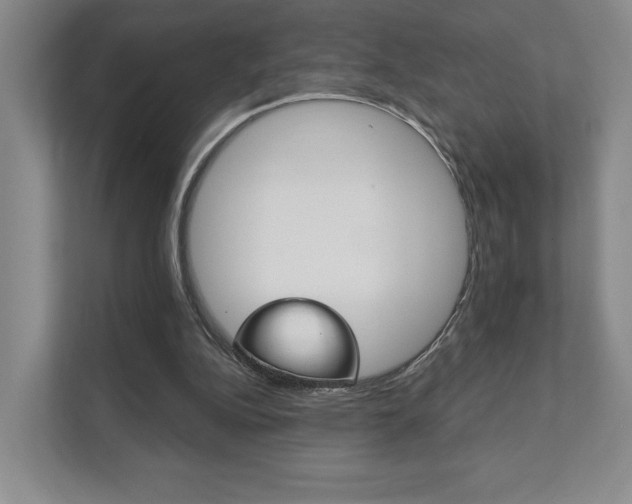 X0000111940152200907271021