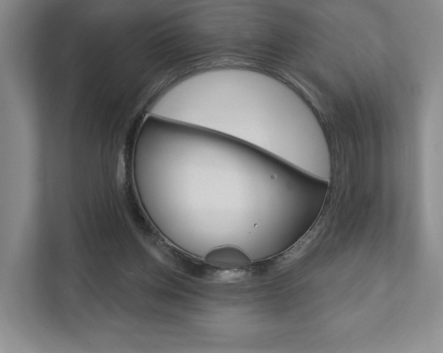 X0000111940158200907271021