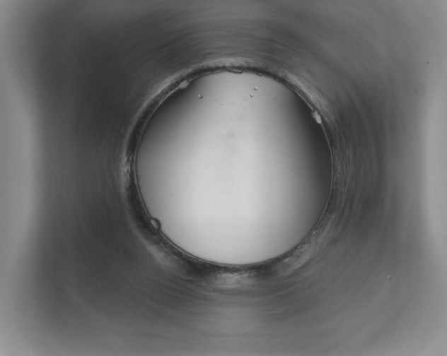 X0000111940160200907271021