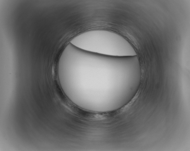 X0000111940166200907271021