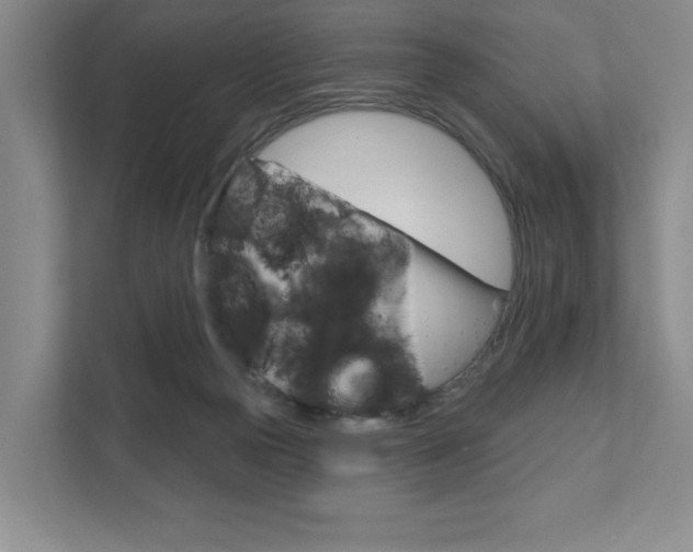 X0000111940169200907271021