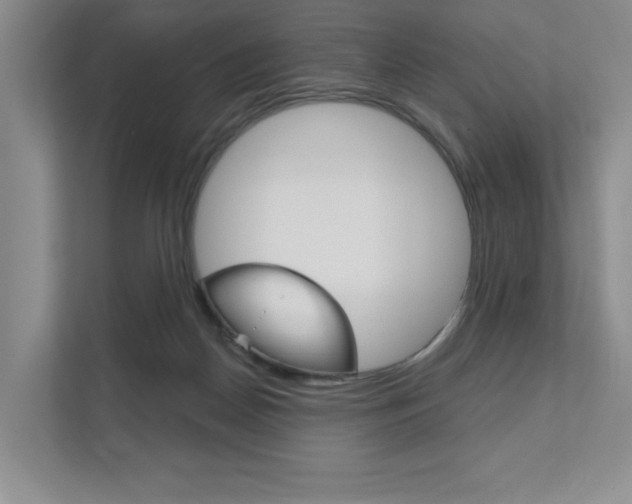 X0000111940170200907271021