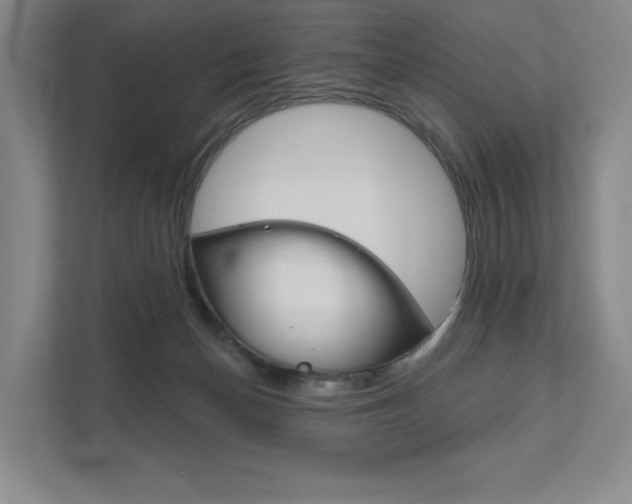 X0000111940174200907271021