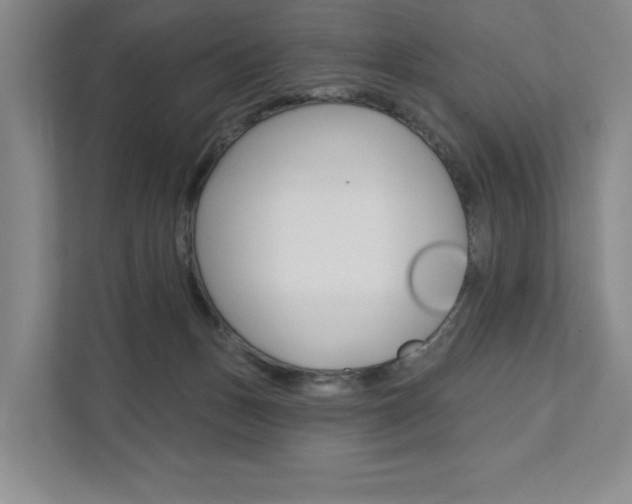 X0000111940175200907271021