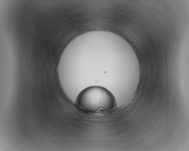 X0000111940176200907271021