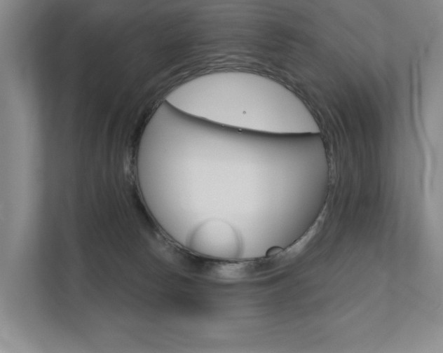X0000111940178200907271021