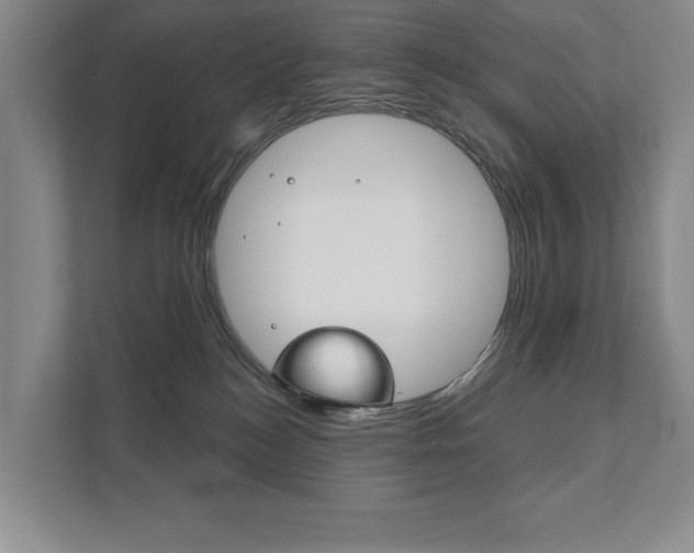 X0000111940184200907271021