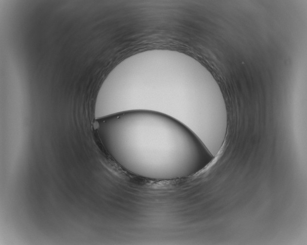 X0000111940186200907271021