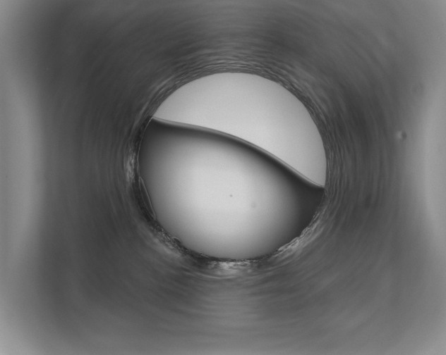 X0000111940188200907271022