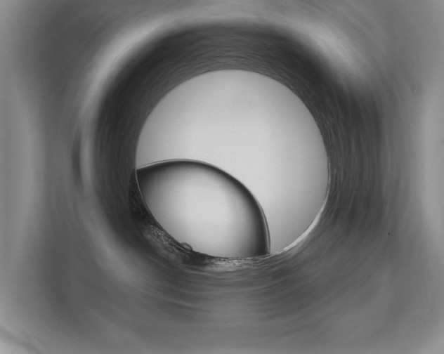 X0000111940190200907271022