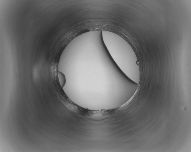 X0000111940191200907271022