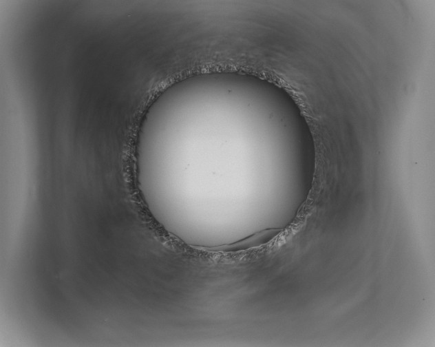X0000111940192200907271022
