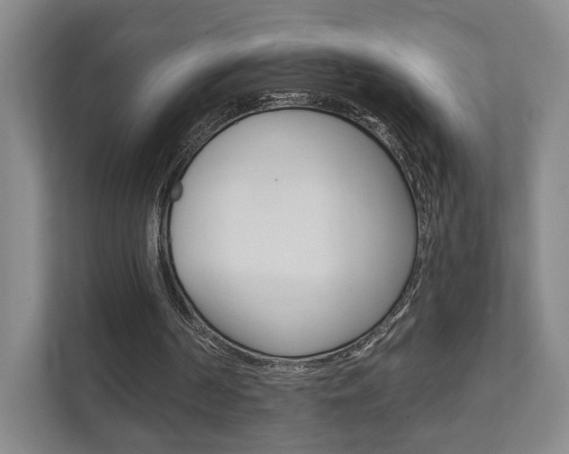 X0000111940194200907271021