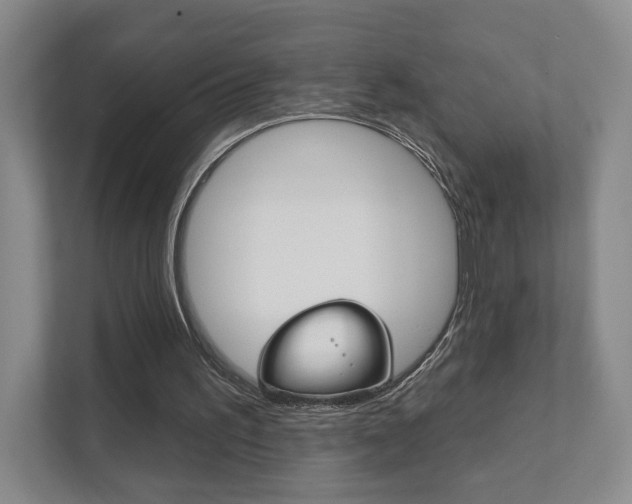 X0000111940195200907271021