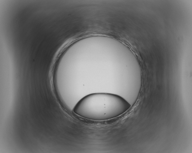 X0000111940197200907271021