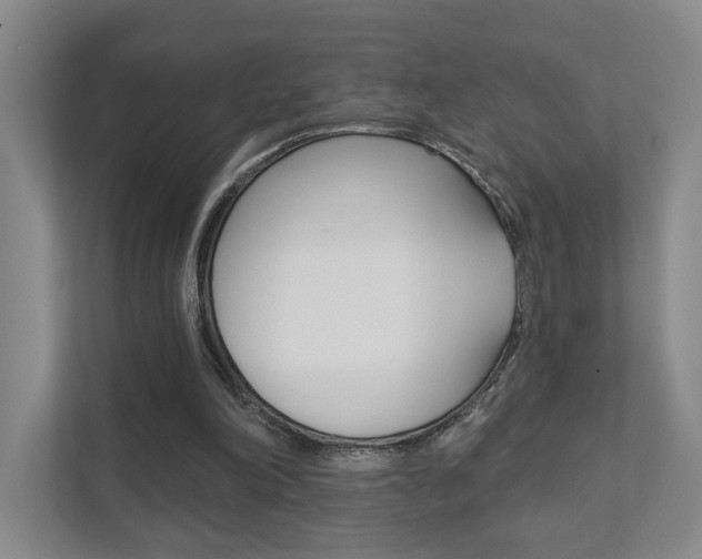 X0000111940198200907271021