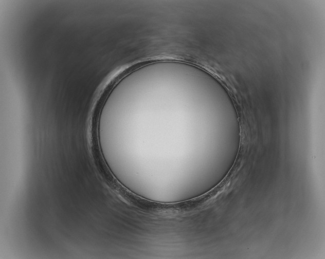 X0000111940200200907271021