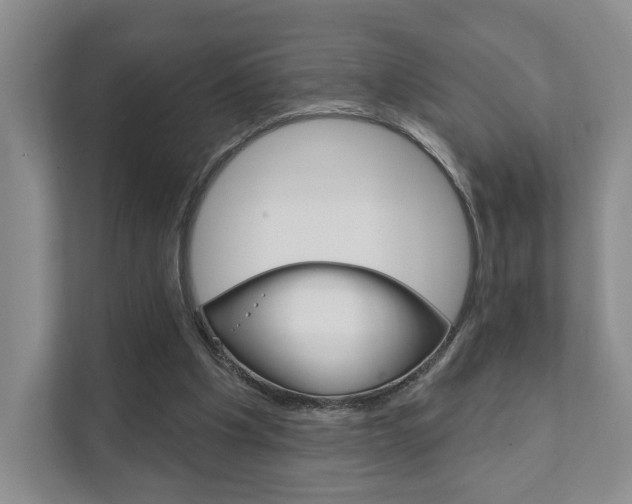 X0000111940201200907271021