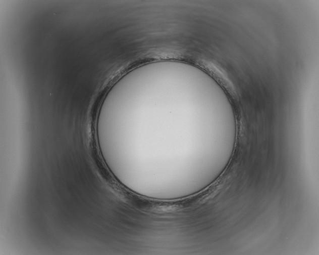 X0000111940202200907271021