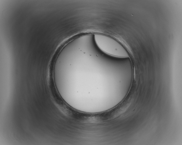 X0000111940204200907271021