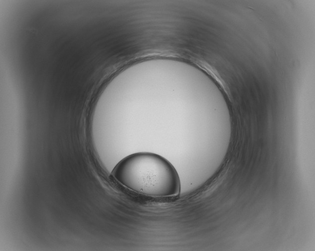 X0000111940205200907271021