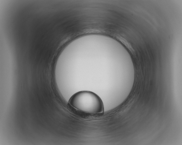 X0000111940207200907271021