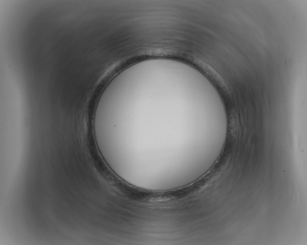 X0000111940208200907271021