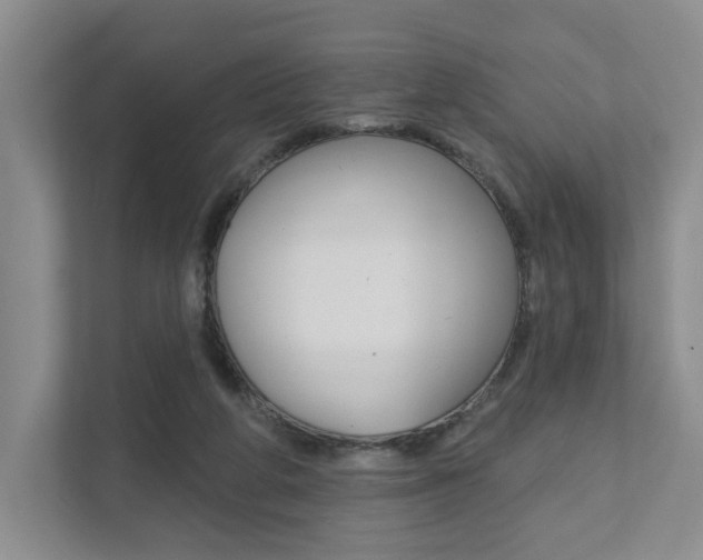 X0000111940210200907271021