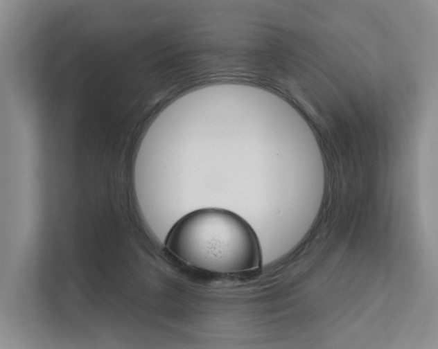 X0000111940211200907271021