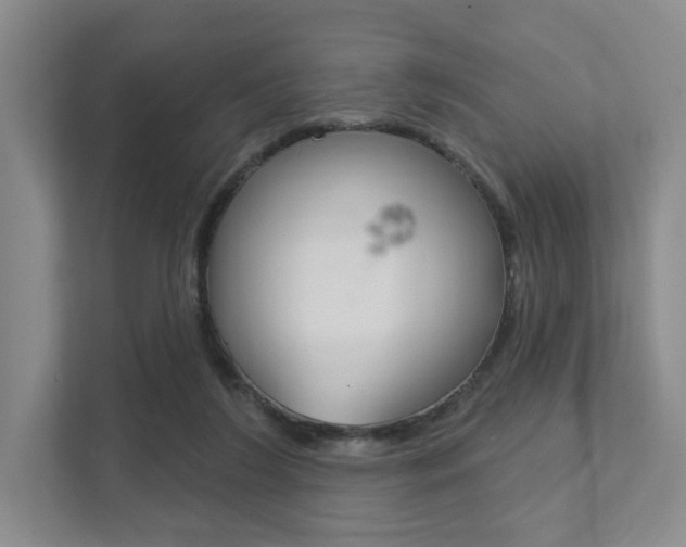 X0000111940212200907271021