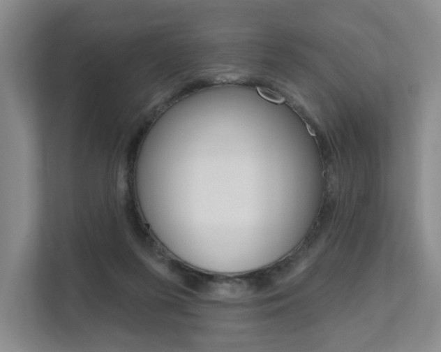 X0000111940215200907271021