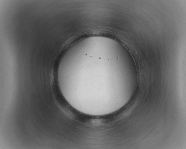 X0000111940216200907271021