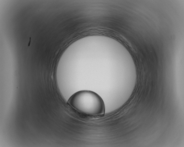 X0000111940217200907271021