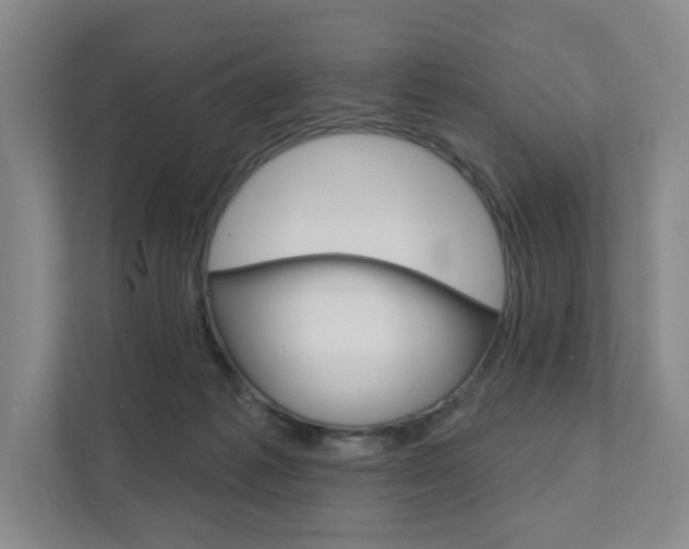 X0000111940221200907271021