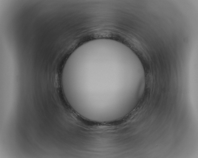 X0000111940224200907271021