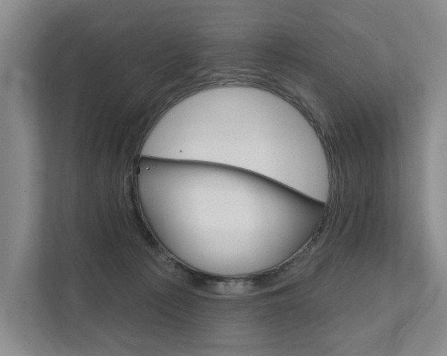 X0000111940225200907271021