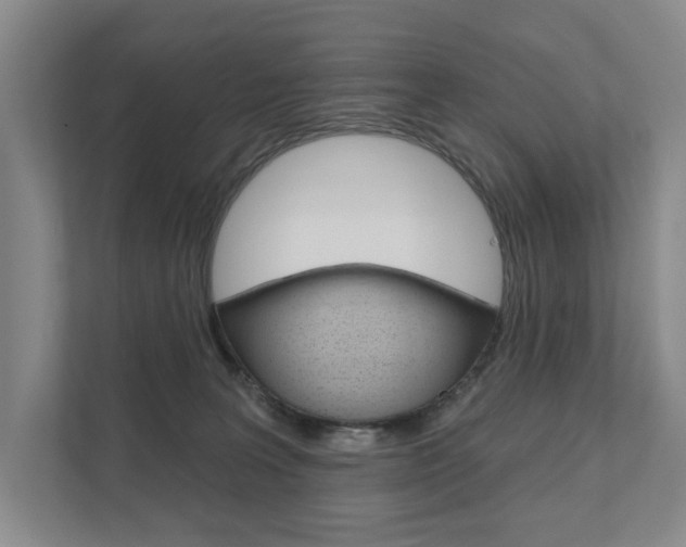 X0000111940227200907271020